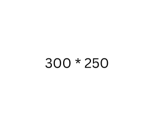 300 250